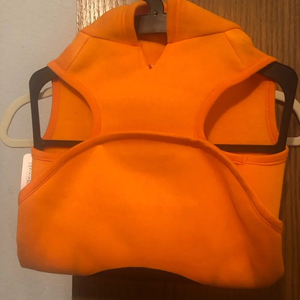 Orange Pumpkin Dog Costume- $15 or $13 w/offer